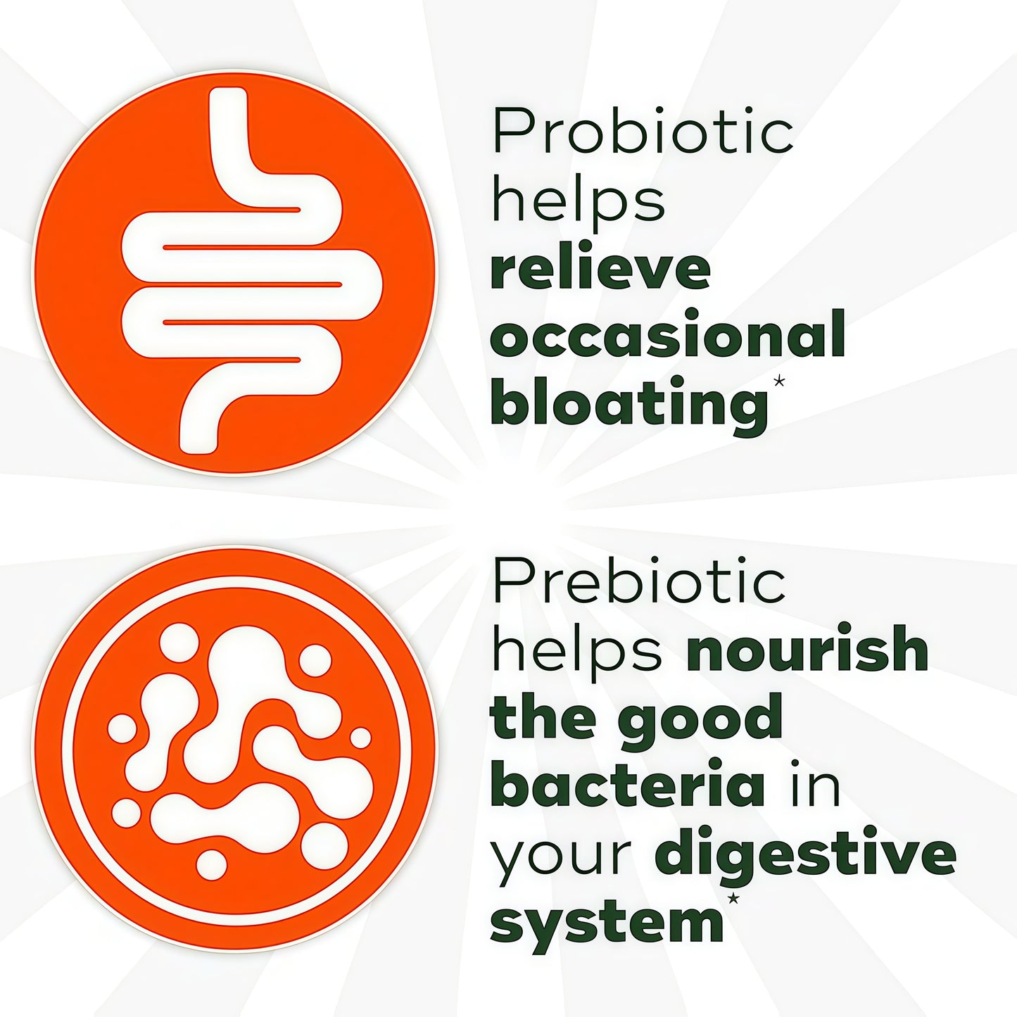 Align Dualbiotic,Prebiotics and Probiotics for Women and Men, Prebiotics Help Nourish Good Bacteria, Natural Fruit Flavors